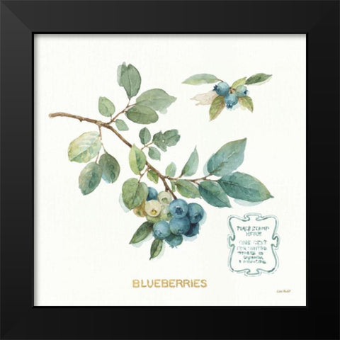 My Greenhouse Fruit II Black Modern Wood Framed Art Print by Audit, Lisa