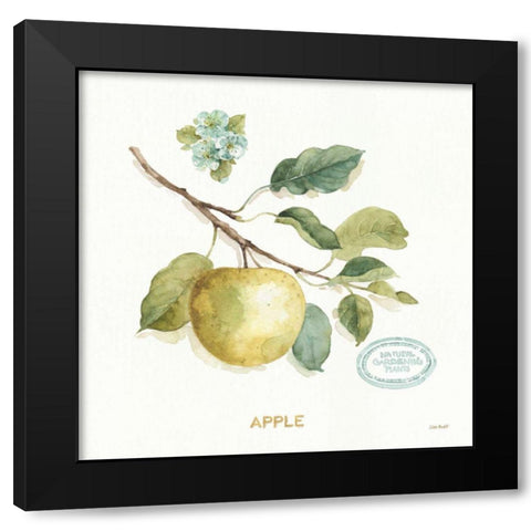 My Greenhouse Fruit IV Black Modern Wood Framed Art Print with Double Matting by Audit, Lisa