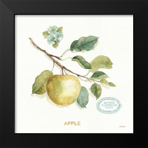 My Greenhouse Fruit IV Black Modern Wood Framed Art Print by Audit, Lisa