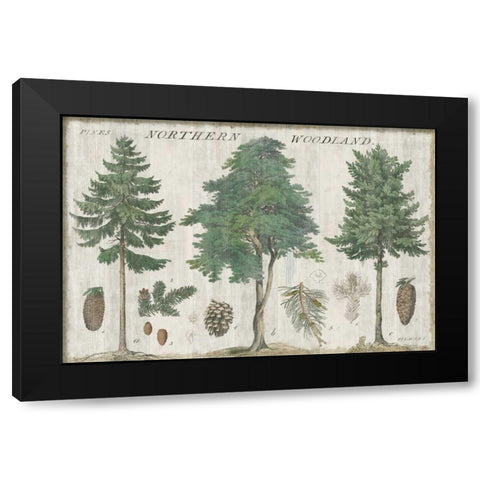 Woodland Chart I Black Modern Wood Framed Art Print with Double Matting by Schlabach, Sue
