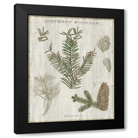 Woodland Chart II Black Modern Wood Framed Art Print with Double Matting by Schlabach, Sue