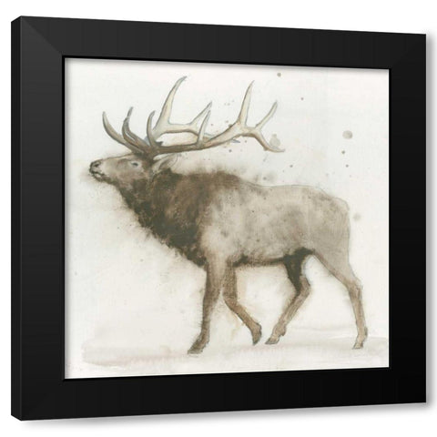 Elk v.2  Black Modern Wood Framed Art Print with Double Matting by Wiens, James