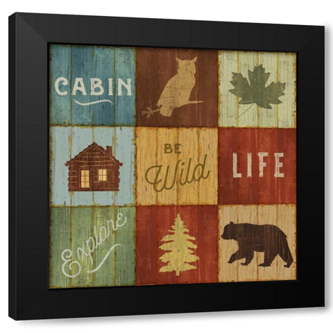 Lake Lodge VIII Black Modern Wood Framed Art Print with Double Matting by Schlabach, Sue