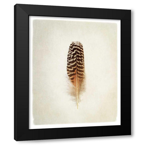 Feather I Black Modern Wood Framed Art Print with Double Matting by Van Swearingen, Debra