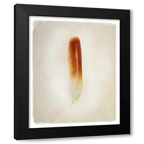 Feather II Black Modern Wood Framed Art Print with Double Matting by Van Swearingen, Debra