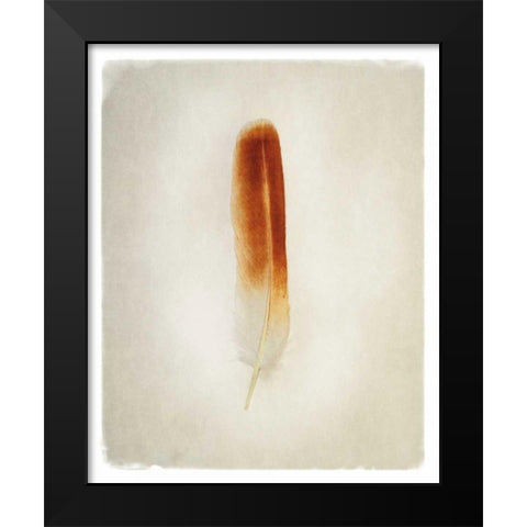 Feather II Black Modern Wood Framed Art Print by Van Swearingen, Debra