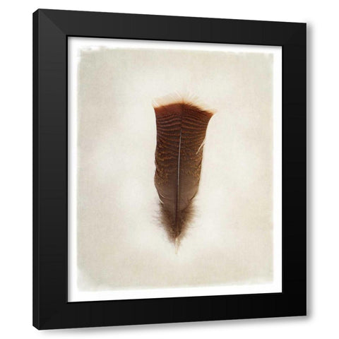 Feather III Black Modern Wood Framed Art Print with Double Matting by Van Swearingen, Debra