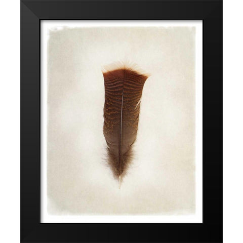Feather III Black Modern Wood Framed Art Print by Van Swearingen, Debra