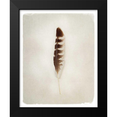 Feather IV Black Modern Wood Framed Art Print by Van Swearingen, Debra