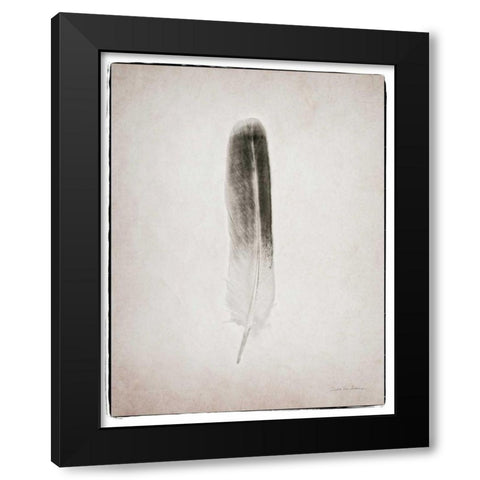 Feather II BW  Black Modern Wood Framed Art Print with Double Matting by Van Swearingen, Debra