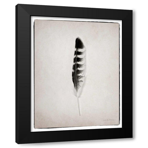 Feather IV BW  Black Modern Wood Framed Art Print by Van Swearingen, Debra