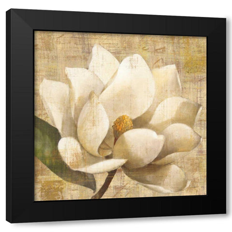 Magnolia Blossom on Script Black Modern Wood Framed Art Print with Double Matting by Hristova, Albena