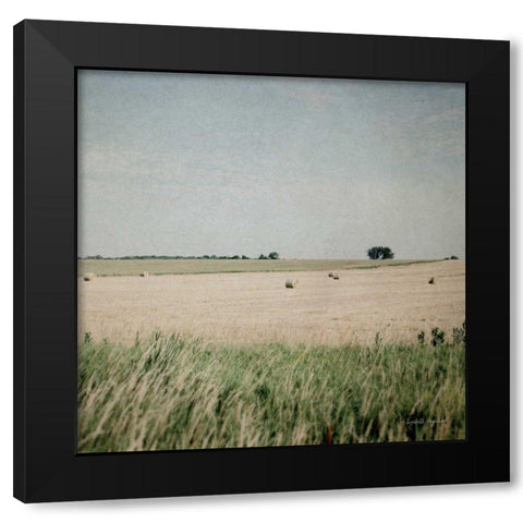 Neutral Country II Crop  Black Modern Wood Framed Art Print by Urquhart, Elizabeth