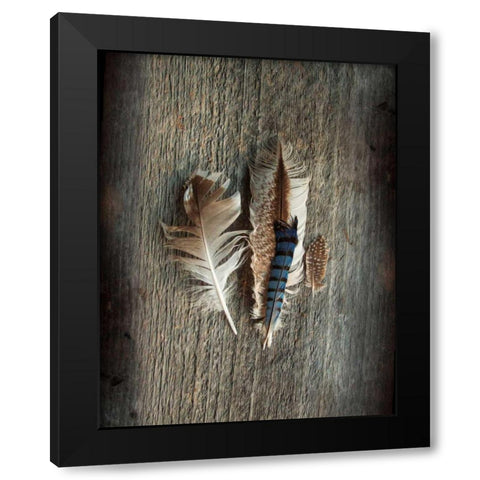 Feather Collection III Black Modern Wood Framed Art Print with Double Matting by Schlabach, Sue