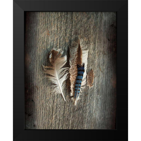 Feather Collection III Black Modern Wood Framed Art Print by Schlabach, Sue