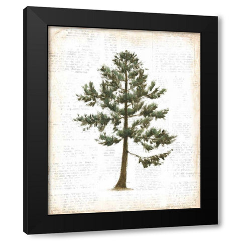 Into the Woods Trees I Black Modern Wood Framed Art Print with Double Matting by Adams, Emily