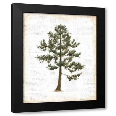 Into the Woods Trees I Black Modern Wood Framed Art Print by Adams, Emily