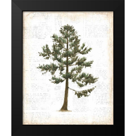 Into the Woods Trees I Black Modern Wood Framed Art Print by Adams, Emily
