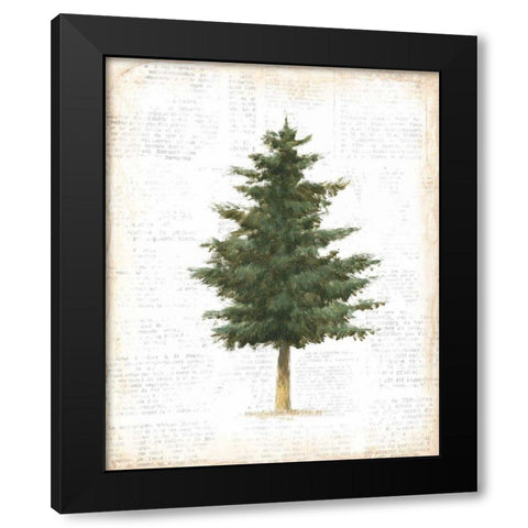 Into the Woods Trees II Black Modern Wood Framed Art Print by Adams, Emily