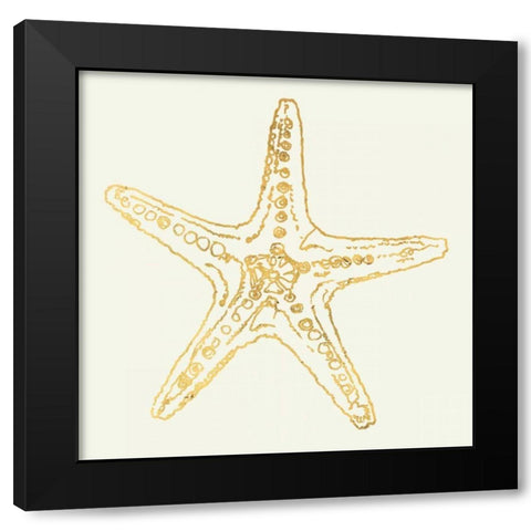 Coastal Breeze Shell Sketches Black Modern Wood Framed Art Print with Double Matting by Tavoletti, Anne