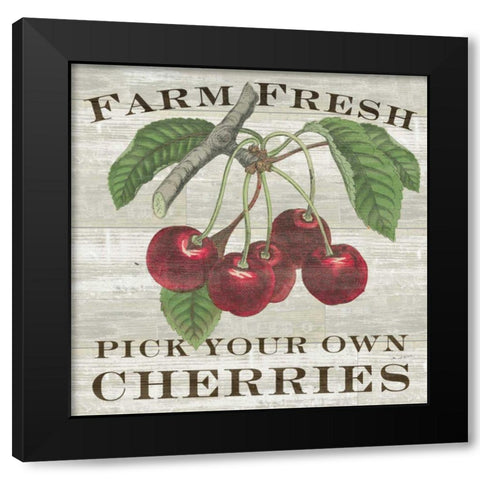 Farm Fresh Cherries Black Modern Wood Framed Art Print with Double Matting by Schlabach, Sue