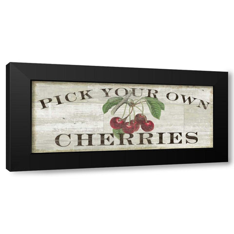 Farm Fresh Cherries Black Modern Wood Framed Art Print with Double Matting by Schlabach, Sue