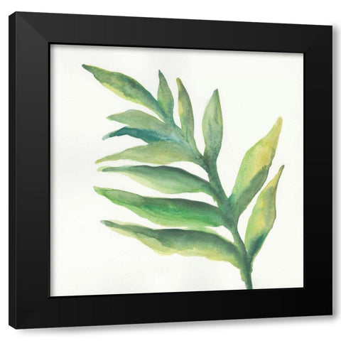 Tropical Palm I Black Modern Wood Framed Art Print with Double Matting by Paschke, Chris