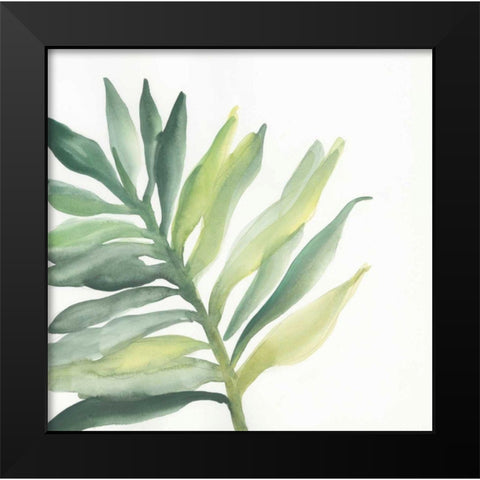 Tropical Palm III Black Modern Wood Framed Art Print by Paschke, Chris