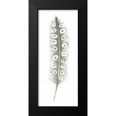 Feather Sketches VII Black Modern Wood Framed Art Print by Tillmon, Avery