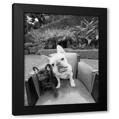 Always Friends Black Modern Wood Framed Art Print with Double Matting by Dratfield, Jim