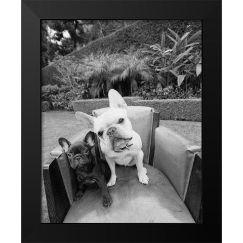 Always Friends Black Modern Wood Framed Art Print by Dratfield, Jim