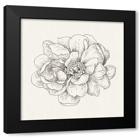 Pen and Ink Florals IV Black Modern Wood Framed Art Print with Double Matting by Nai, Danhui