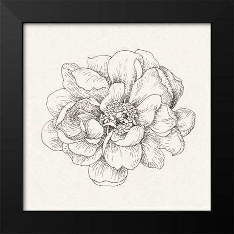 Pen and Ink Florals IV Black Modern Wood Framed Art Print by Nai, Danhui