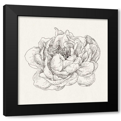 Pen and Ink Florals V Black Modern Wood Framed Art Print by Nai, Danhui