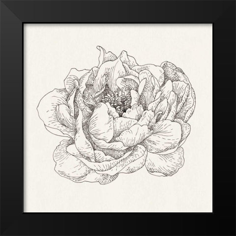 Pen and Ink Florals V Black Modern Wood Framed Art Print by Nai, Danhui