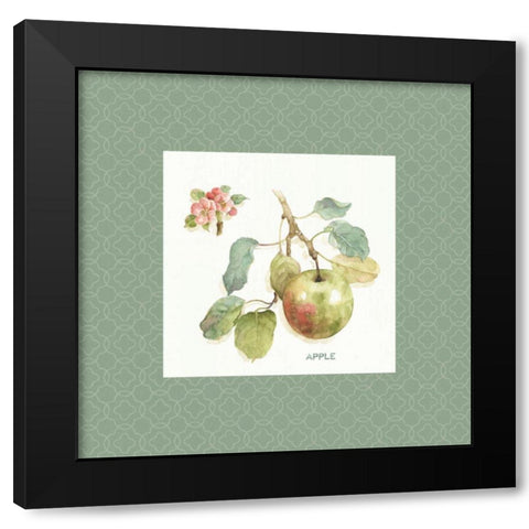Orchard Bloom I Border Black Modern Wood Framed Art Print by Audit, Lisa