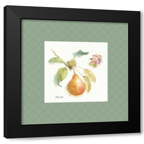 Orchard Bloom II Border Black Modern Wood Framed Art Print by Audit, Lisa