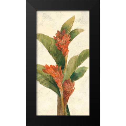 Ginger Blossom on White Black Modern Wood Framed Art Print by Hristova, Albena