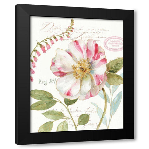 Rainbow Seeds Botanical II Black Modern Wood Framed Art Print by Audit, Lisa