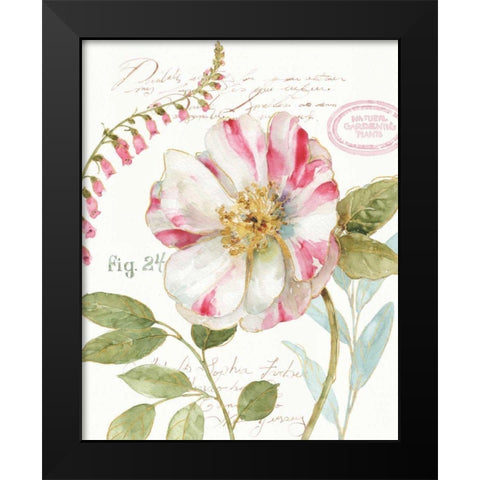 Rainbow Seeds Botanical II Black Modern Wood Framed Art Print by Audit, Lisa