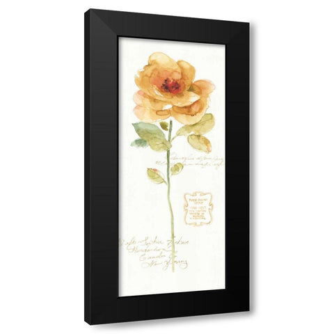 Rainbow Seeds Loose Floral III Black Modern Wood Framed Art Print with Double Matting by Audit, Lisa