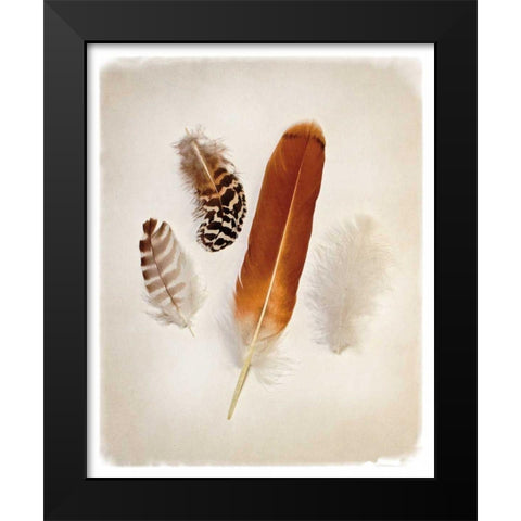 Feather Group I Black Modern Wood Framed Art Print by Van Swearingen, Debra