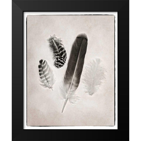 Feather Group I BW Black Modern Wood Framed Art Print by Van Swearingen, Debra
