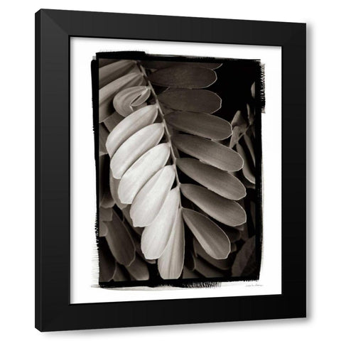 Tropical Plant I Black Modern Wood Framed Art Print with Double Matting by Debra, Van Swearingen