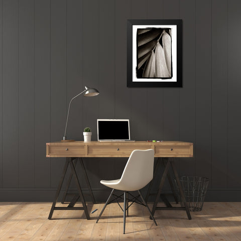 Tropical Plant II Black Modern Wood Framed Art Print by Debra, Van Swearingen