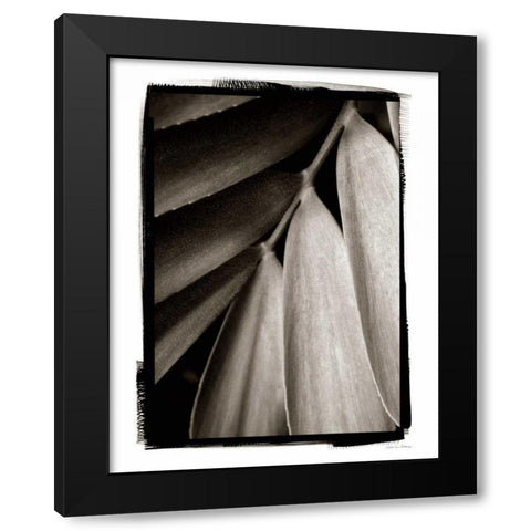 Tropical Plant II Black Modern Wood Framed Art Print by Debra, Van Swearingen