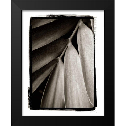 Tropical Plant II Black Modern Wood Framed Art Print by Debra, Van Swearingen