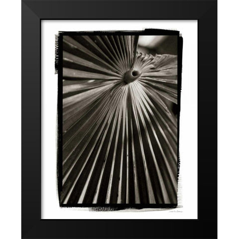 Palm Frond I Black Modern Wood Framed Art Print by Debra, Van Swearingen