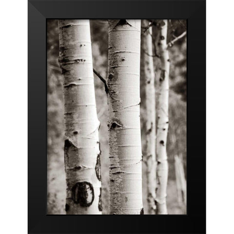 Aspens I Black Modern Wood Framed Art Print by Van Swearingen, Debra