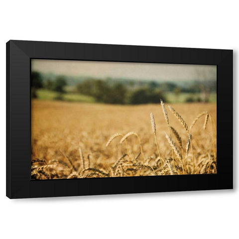 Blissful Country I Black Modern Wood Framed Art Print by Urquhart, Elizabeth